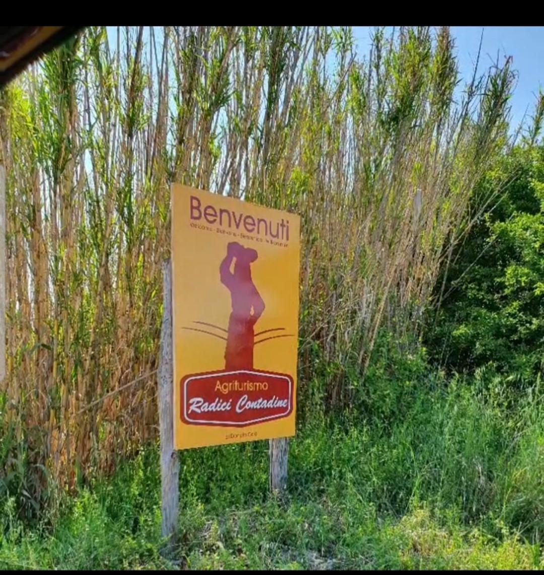 Agriturismo Radici Contadine Bisaccia Zewnętrze zdjęcie